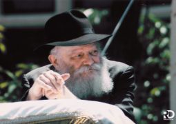 פתרון יציב לטווח נצחי